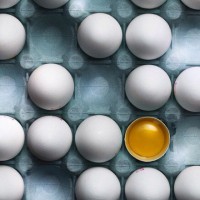 鸡蛋