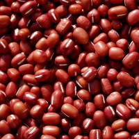赤小豆